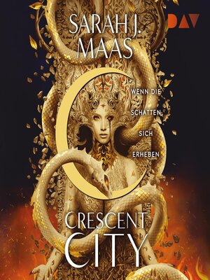 cover image of Wenn die Schatten sich erheben